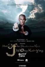 Poster Film Master Of The Shadowless Kick Wong Kei-Ying (2016)