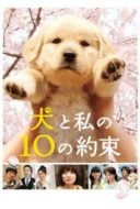 Layarkaca21 LK21 Dunia21 Nonton Film 10 Promises to My Dog (2008) Subtitle Indonesia Streaming Movie Download