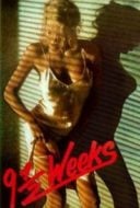 Layarkaca21 LK21 Dunia21 Nonton Film 9 1/2 Weeks (1986) Subtitle Indonesia Streaming Movie Download