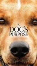 Nonton Film A Dog’s Purpose (2017) Subtitle Indonesia Streaming Movie Download