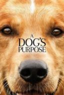 Layarkaca21 LK21 Dunia21 Nonton Film A Dog’s Purpose (2017) Subtitle Indonesia Streaming Movie Download