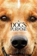 Nonton Film A Dog’s Purpose (2017) Subtitle Indonesia Streaming Movie Download