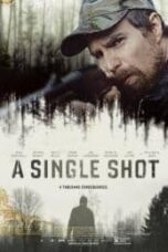 Poster Film A Single Shot (2013)