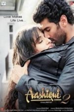 Aashiqui 2 (2013)