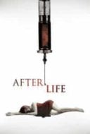 Layarkaca21 LK21 Dunia21 Nonton Film After.Life (2009) Subtitle Indonesia Streaming Movie Download