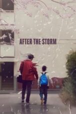 Poster Film After the Storm (2016)