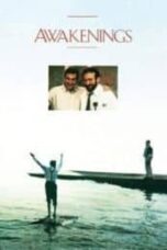 Poster Film Awakenings (1990)