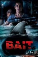 Layarkaca21 LK21 Dunia21 Nonton Film Bait (2012) Subtitle Indonesia Streaming Movie Download