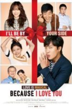 Because I Love You (2016)