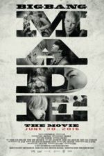 Big Bang Made the Movie (2016)