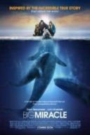 Layarkaca21 LK21 Dunia21 Nonton Film Big Miracle (2012) Subtitle Indonesia Streaming Movie Download