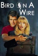 Layarkaca21 LK21 Dunia21 Nonton Film Bird on a Wire (1990) Subtitle Indonesia Streaming Movie Download