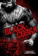 Layarkaca21 LK21 Dunia21 Nonton Film Black Cobra (2012) Subtitle Indonesia Streaming Movie Download