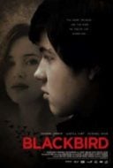 Layarkaca21 LK21 Dunia21 Nonton Film Blackbird (2012) Subtitle Indonesia Streaming Movie Download