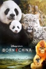 Poster Film Born in China (2017)