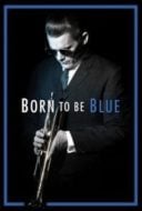 Layarkaca21 LK21 Dunia21 Nonton Film Born to Be Blue (2015) Subtitle Indonesia Streaming Movie Download