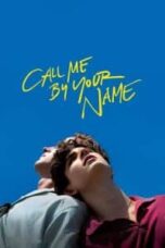 Poster Film Call Me by Your Name (2017)