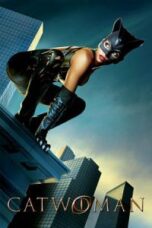 Poster Film Catwoman (2004)