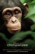 Layarkaca21 LK21 Dunia21 Nonton Film Chimpanzee (2012) Subtitle Indonesia Streaming Movie Download