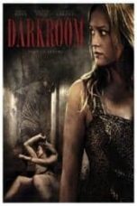 Poster Film Darkroom (2013)