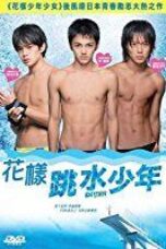 Poster Film Dive!! (2008)