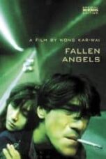 Poster Film Fallen Angels (1995)