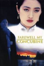 Farewell My Concubine (1993)