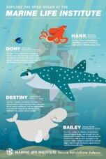Poster Film Finding Dory: Marine Life Interviews (2016)