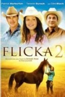 Layarkaca21 LK21 Dunia21 Nonton Film Flicka 2 (2010) Subtitle Indonesia Streaming Movie Download