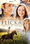 Layarkaca21 LK21 Dunia21 Nonton Film Flicka: Country Pride (2012) Subtitle Indonesia Streaming Movie Download