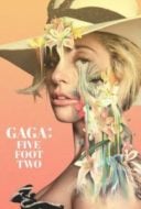 Layarkaca21 LK21 Dunia21 Nonton Film Gaga: Five Foot Two (2017) Subtitle Indonesia Streaming Movie Download