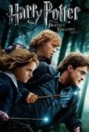 Layarkaca21 LK21 Dunia21 Nonton Film Harry Potter and the Deathly Hallows: Part 1 (2010) Subtitle Indonesia Streaming Movie Download