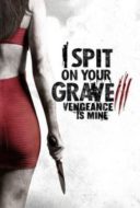 Layarkaca21 LK21 Dunia21 Nonton Film I Spit on Your Grave: Vengeance is Mine (2015) Subtitle Indonesia Streaming Movie Download