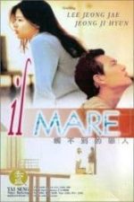 Il Mare (2000)