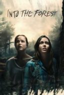 Layarkaca21 LK21 Dunia21 Nonton Film Into the Forest (2016) Subtitle Indonesia Streaming Movie Download