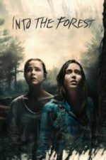 Into the Forest (2016)