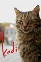 Layarkaca21 LK21 Dunia21 Nonton Film Kedi (2017) Subtitle Indonesia Streaming Movie Download