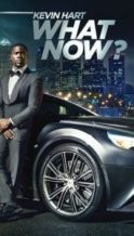 Nonton Film Kevin Hart: What Now? (2016) Subtitle Indonesia Streaming Movie Download