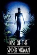 Layarkaca21 LK21 Dunia21 Nonton Film Kiss of the Spider Woman (1985) Subtitle Indonesia Streaming Movie Download