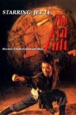 Kung Fu Cult Master (1993)