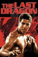 Layarkaca21 LK21 Dunia21 Nonton Film The Last Dragon (1985) Subtitle Indonesia Streaming Movie Download