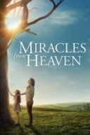 Layarkaca21 LK21 Dunia21 Nonton Film Miracles from Heaven (2016) Subtitle Indonesia Streaming Movie Download