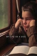 Layarkaca21 LK21 Dunia21 Nonton Film My Life as a Dog (Mitt liv som hund) (1985) Subtitle Indonesia Streaming Movie Download