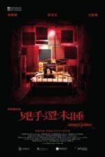 Poster Film Nessun Dorma (2016)