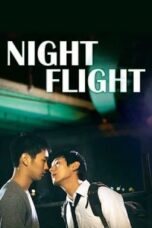 Poster Film Night Flight (2014)