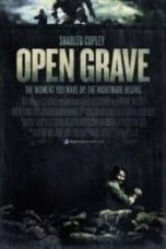 Poster Film Open Grave (2013)