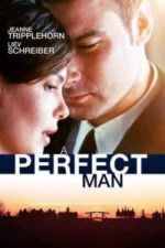 A Perfect Man (2013)