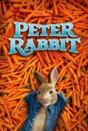 Layarkaca21 LK21 Dunia21 Nonton Film Peter Rabbit (2018) Subtitle Indonesia Streaming Movie Download