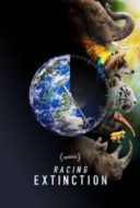 Layarkaca21 LK21 Dunia21 Nonton Film Racing Extinction (2015) Subtitle Indonesia Streaming Movie Download