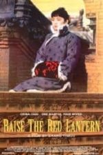 Raise the Red Lantern (Da hong deng long gao gao gua) (1991)